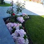 Casa Dinastia Sotao Y Casa Dinastia Miramar Homestay Ribeira Brava