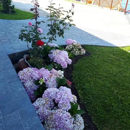 Casa Dinastia Sotao Y Casa Dinastia Miramar Pansiyon Ribeira Brava