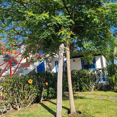 Pansiyon Casa Dinastia Sotao Y Casa Dinastia Miramar