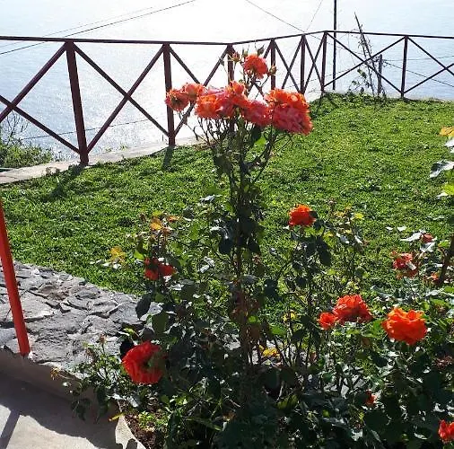 Homestay Casa Dinastia Sotao Y Casa Dinastia Miramar