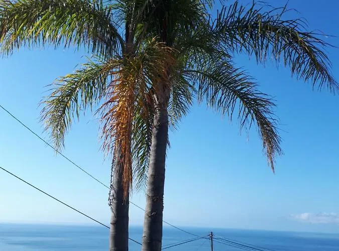 Homestay Casa Dinastia Sotao Y Casa Dinastia Miramar *