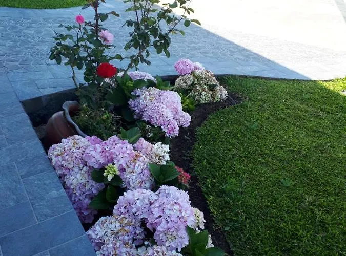 Casa Dinastia Sotao Y Casa Dinastia Miramar Homestay Ribeira Brava